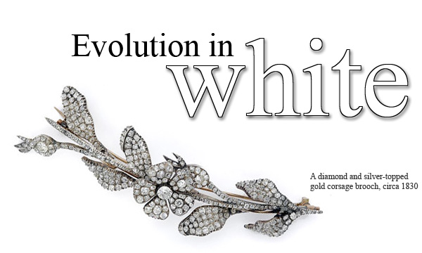 Evolution in White
